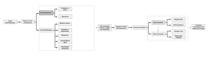 Conceptualising self awareness